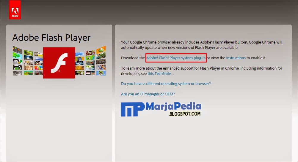 Browsers flash player