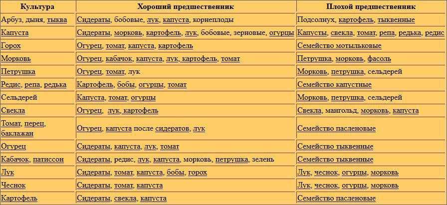 Какой сидерат посадить после картофеля осенью. Таблица севооборота овощных культур и сидератов. Предшественники на грядке овощей таблица. Предшественники овощных культур. Что после чего можно садить.