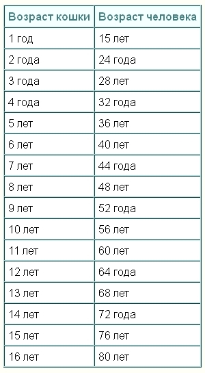 Сколько кошачьих лет в человеческом. Возраст собаки по человеческим меркам таблица. Возраст собаки по человеческим меркам таблица по годам. Возраст собаки по человеческим меркам таблица овчарка. Таблица возраста собак по человеческим меркам мелких пород.