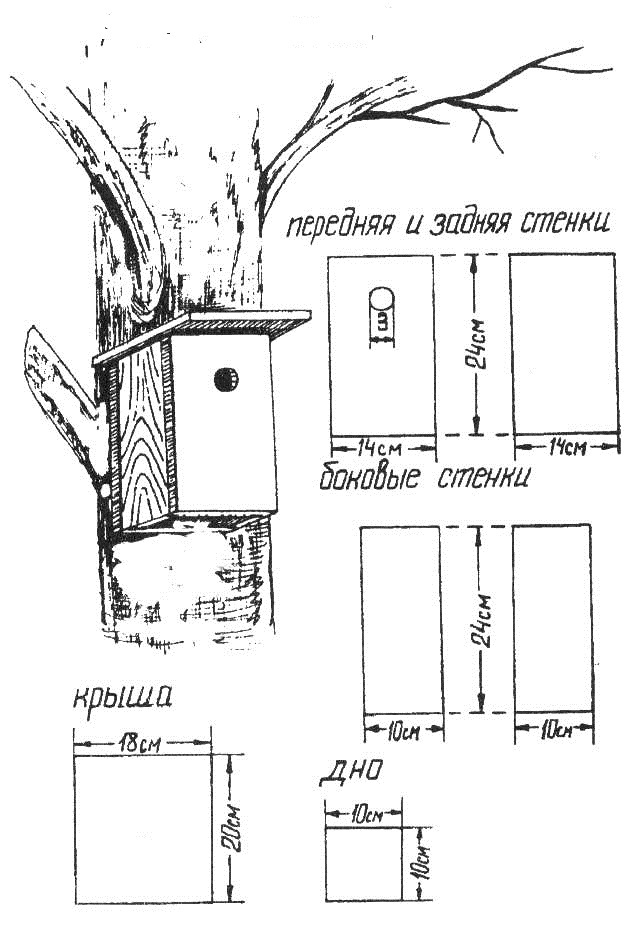 Чертеж синичника с размерами из дерева