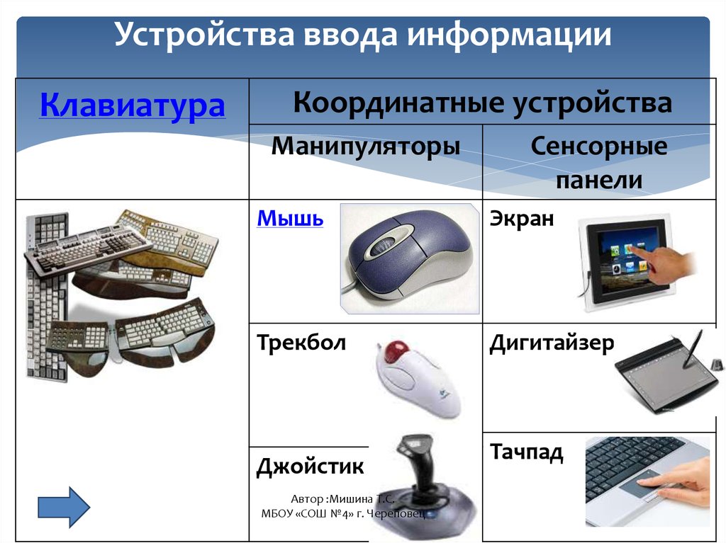 Как называется устройство ввода графических изображений в компьютер тест