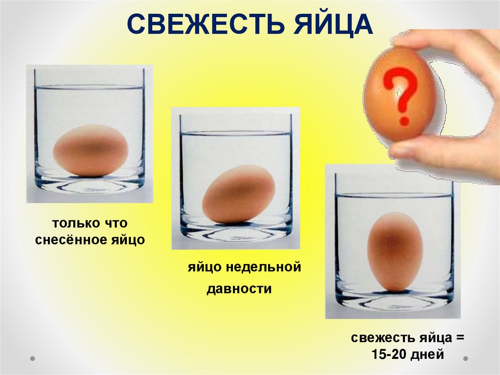 Правильные яички. Свежее яйцо. Определить свежесть яиц. Свежее яйцо в воде. Определение свежести яиц.