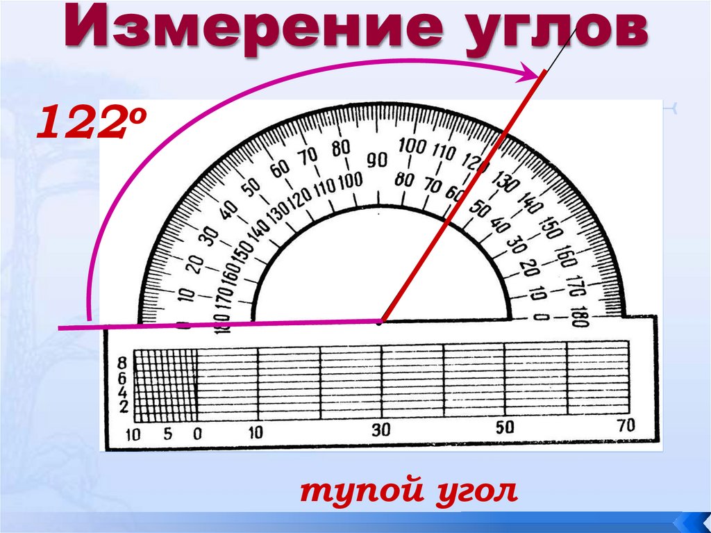 Пятьюдесятью градусами. Измерение углов. Углы измерение углов. Измерение градусов угла. Измерить угол.