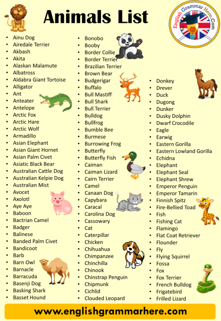 Имена для животных. Английские имена домашних питомцев. Клички домашних животных на английском. Имена питомцев на английском. Названия кличек животных