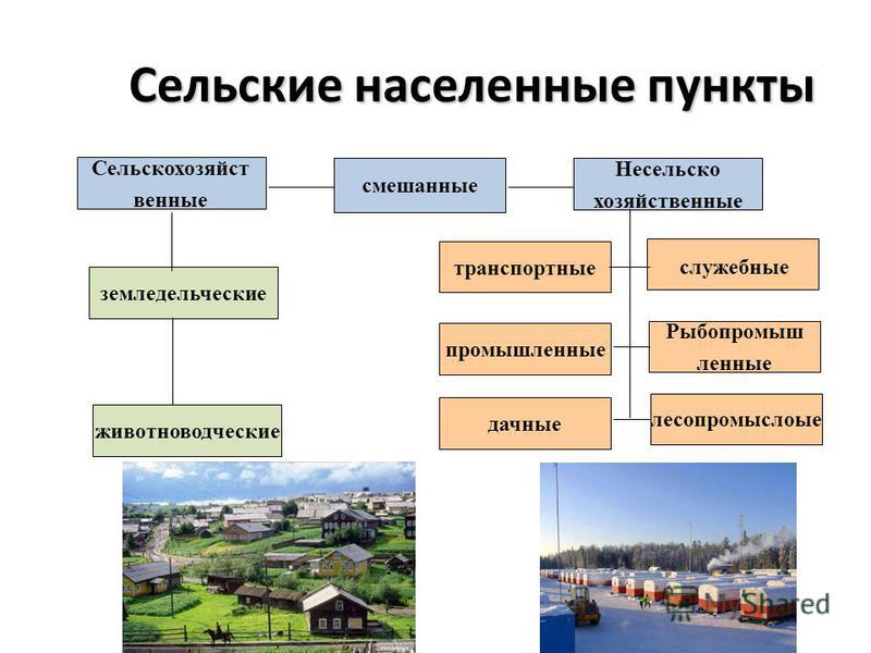 Презентация по географии 8 класс сельские поселения особенности расселения сельского населения