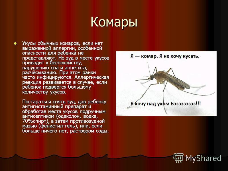 Почему укус комара. Почему чешется укус комара. Комары презентация. Почему укусы комаров чешутся.