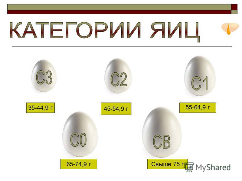 Средний вес яйца первой категории. Категории яиц. Сорта яиц куриных. Категории яиц куриных. Размеры яиц по категориям.