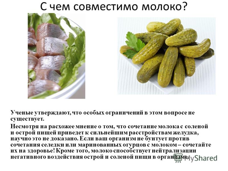 Огурцов молоком