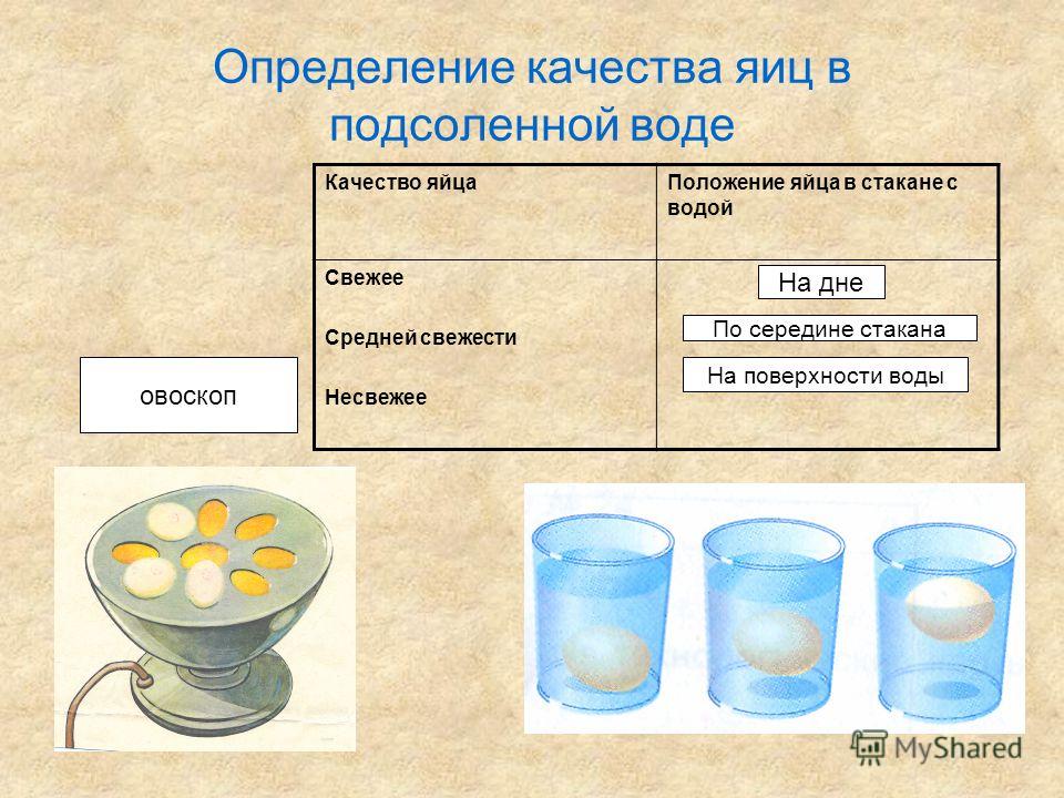 Определение свежести яиц в воде картинки