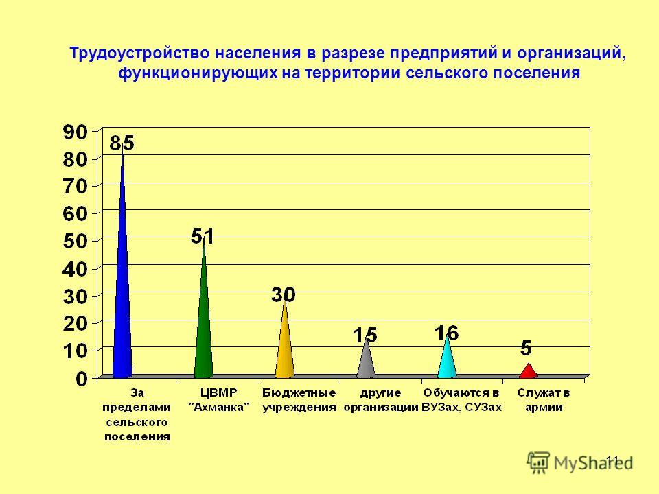 Занятость на дону