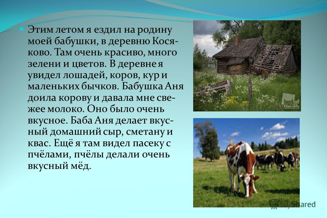 Составить деревни. Лето в деревне рассказ. Сочинение про деревню. Сочинение на тему деревня. История летом в деревне.