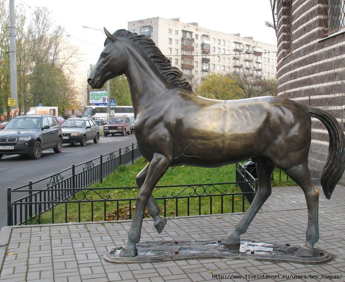 Памятник анатолию кони. Памятник лошади проспект ветеранов Питер. Памятник лошади в Питере. Статуя коня в Санкт Петербурге.