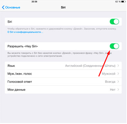 Голос сири. Как включить Siri на айфоне 6s. Как включить сири на айфоне 6 s. Как включить сири на айфоне 6. Siri как включить на айфон.