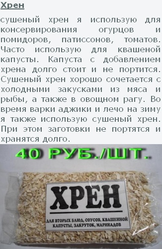 Как сохранить хрен. Хрен рецепт. Хрен сушеный использование. Корень хрена в аптеке. Хрен свежий рецепт.