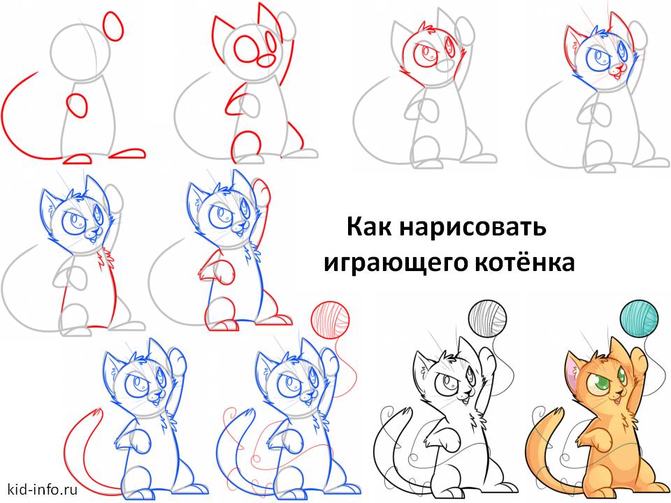 Учимся рисовать котика