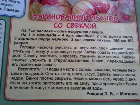 Рецепты маринованного чеснока со свеклой