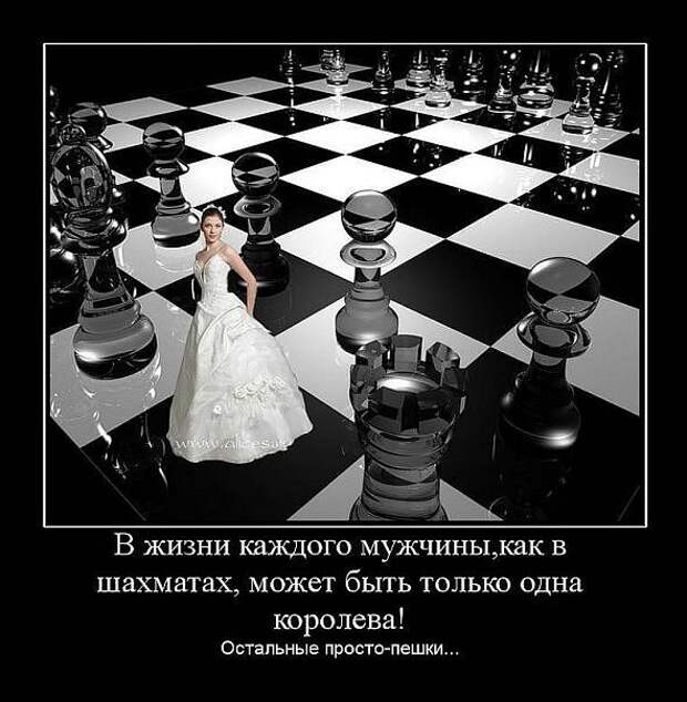 Можно пешками есть назад. Статус про шахматы и жизнь. Жизнь шахматная доска. Жизнь как шахматы. В жизни каждого мужчины.