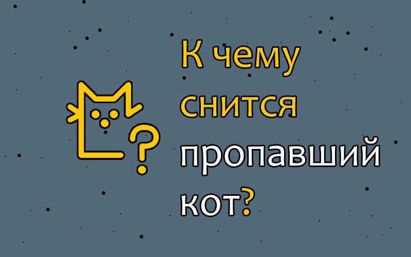 К чему снится кот. К чему снится пропавший кот. Сон что потерялся кот. К чему снится Потерянная кошка. К чему снится пропавшая кошка.