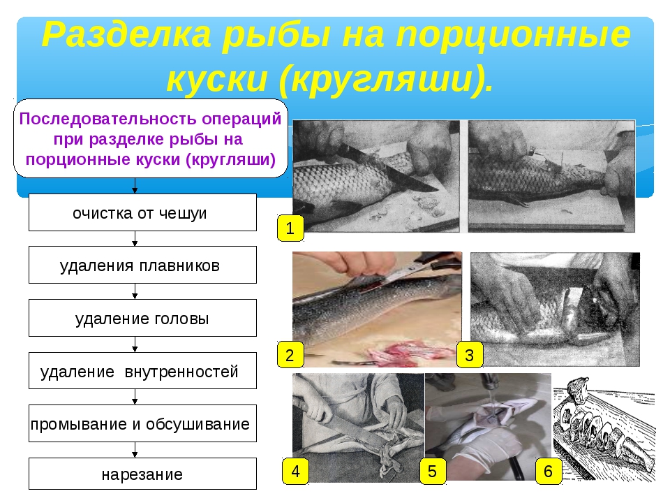 Рыба организация процесса приготовления. Последовательность разделки рыбы. Последовательность разделки рыбы на кругляши. Схема разделки рыбы. Схема обработки чешуйчатой рыбы.