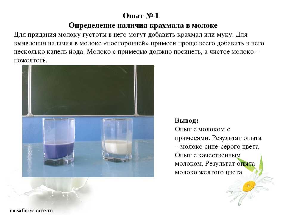 Реакция в стакане воды. Опыт вода и молоко. Опыт с молоком и йодом. Эксперимент с молоком и водой. Выявление крахмала в молоке.
