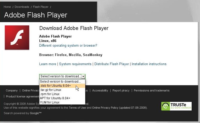 Установить флеш 10. Adobe Flash Player 10. Flash Player 10 для Chrome. Flash Player Ubuntu. Adobe Flash Player Rip.