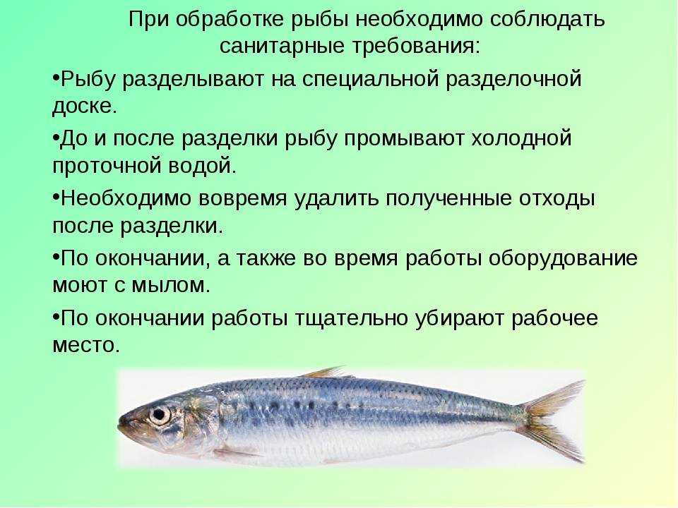 Какая должна быть рыба. Обработка рыбы. Способы обработки рыбы. Правильная последовательность обработки рыбы. Гигиенические нормы первичной обработки рыбы.