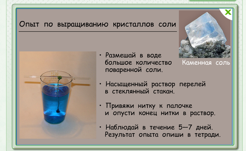 В изображенном на рисунке опыте экспериментатор поместил кристалл соли