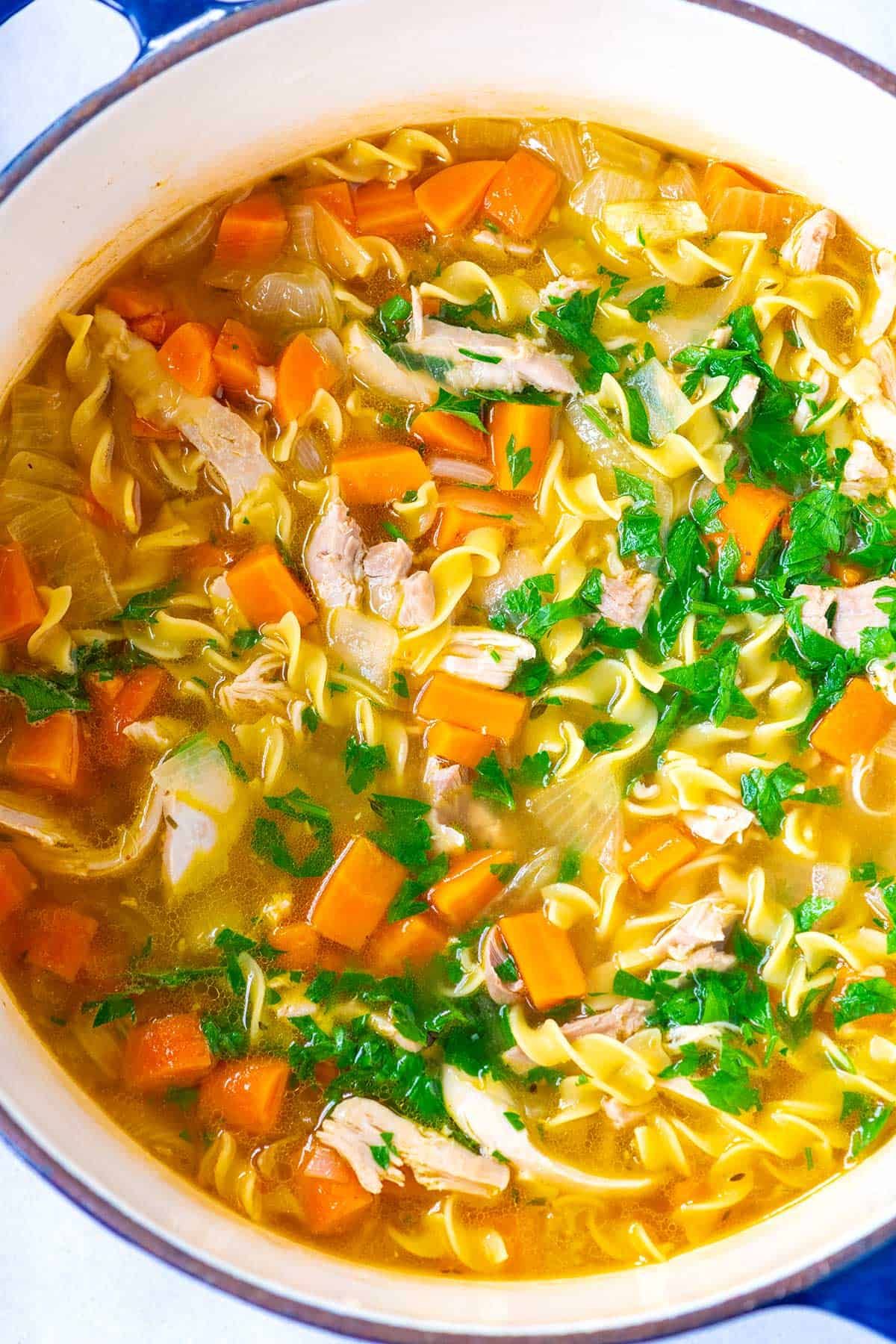 Рецепт лапши без картошки. Лапшичный куриный суп. Куриный суп с лапшой. Суп лапша домашняя. Куриный суп с макаронами.
