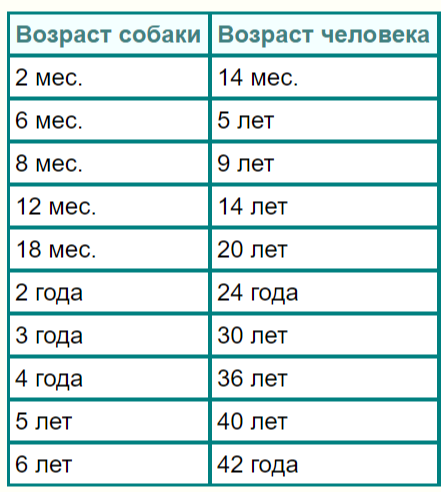 Сколько лет трем котам. Собачий Возраст на человеческий. Кошачий Возраст на человеческий. Год кошки. 1 Кошачий год на человеческий.