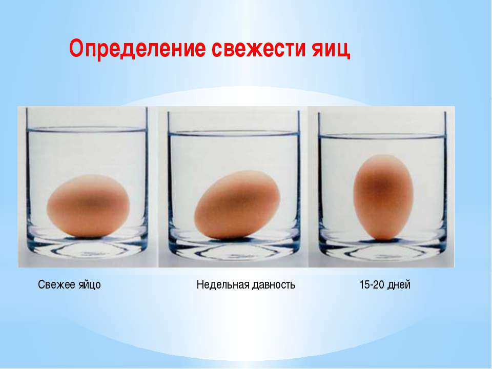Яйцо поместить в воду. Определение свежести яиц. Определить Мвежесть яйцах. Способы определения свежести яиц. Способы проверки яиц на свежесть.