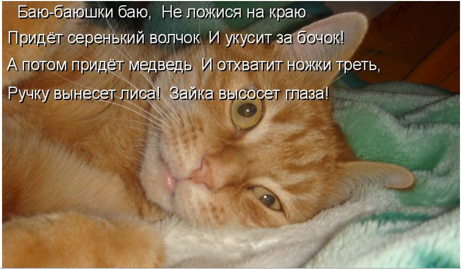 Песня надо много кушать надо много спать. Лежебока рыжий кот отлежал себе. Рыжий кот прикол. Баю бай кот. Лежебока.