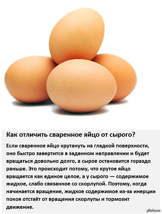 Как отличить яйца. Факты о яйцах куриных. Интересные факты о яйцах. Факты о вареных яйцах. Яйцо полезные вещества.