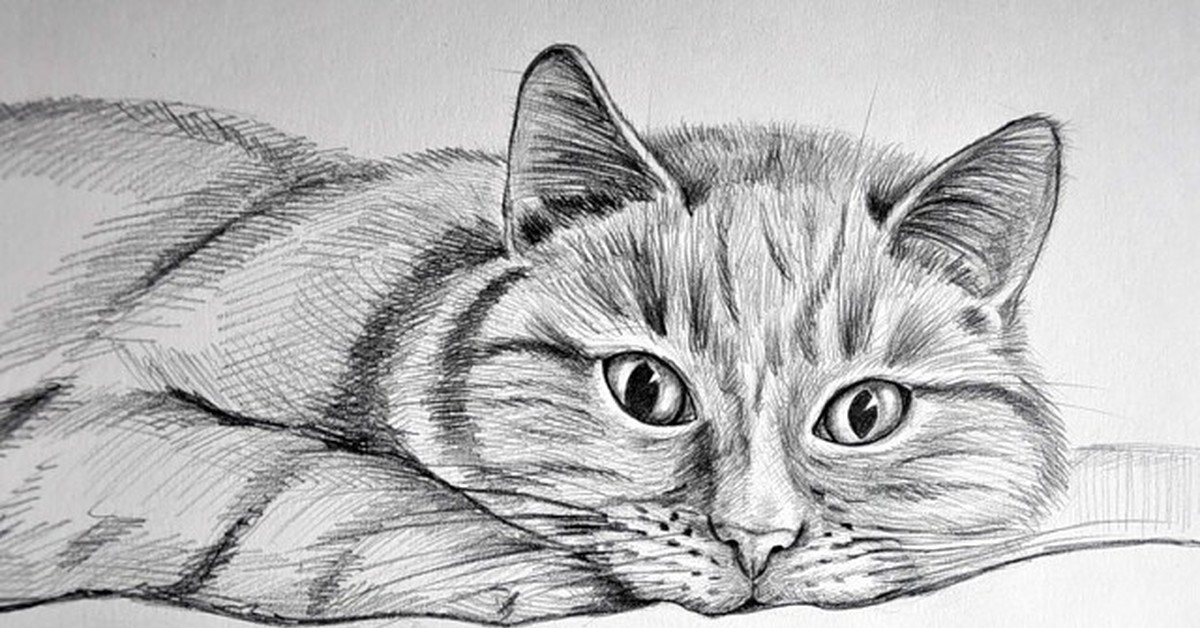 Рисовать красивых котиков