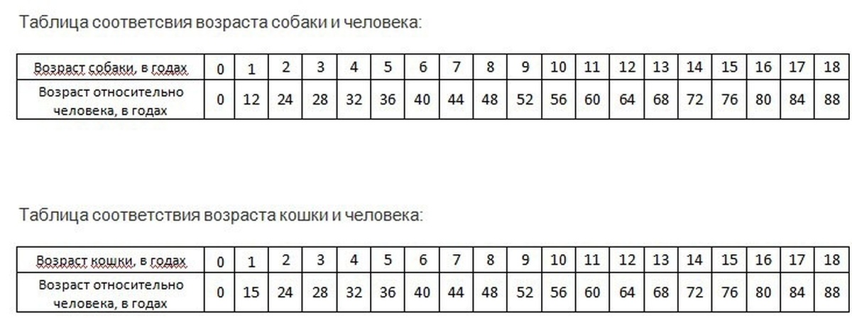 Возраст карта по человеческим