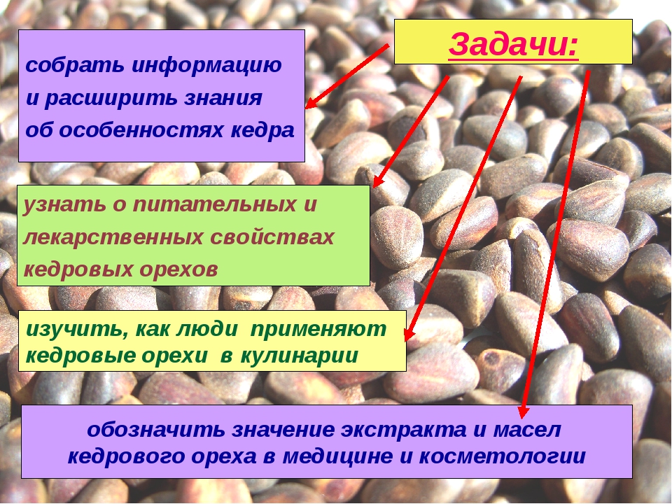 Вред кедровых. Исследовательская работа о кедровых орехах. Кедровые орехи гормоны. Кедровые орешки исслед. Работа. Кедровый орех кладезь витаминов.