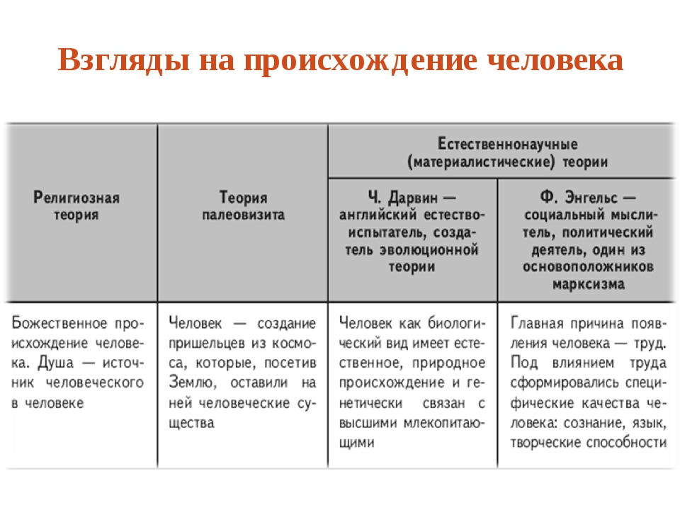 Содержание взгляд. Взгляды на происхождение человека Обществознание. Гипотезы происхождения человека. Теории происхождения человека таблица. Теории происхождения человека.