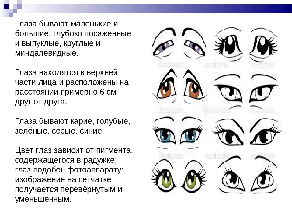 Глазки бывают. Формы глаз картинки. Форма глаз физиогномика. Физиогномика форма глаз и характер. Форма глаз и характер мужчины.