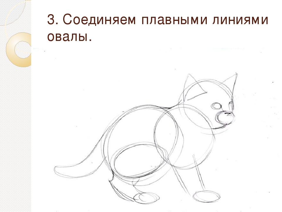 Рисунок кота 3 класс карандашом