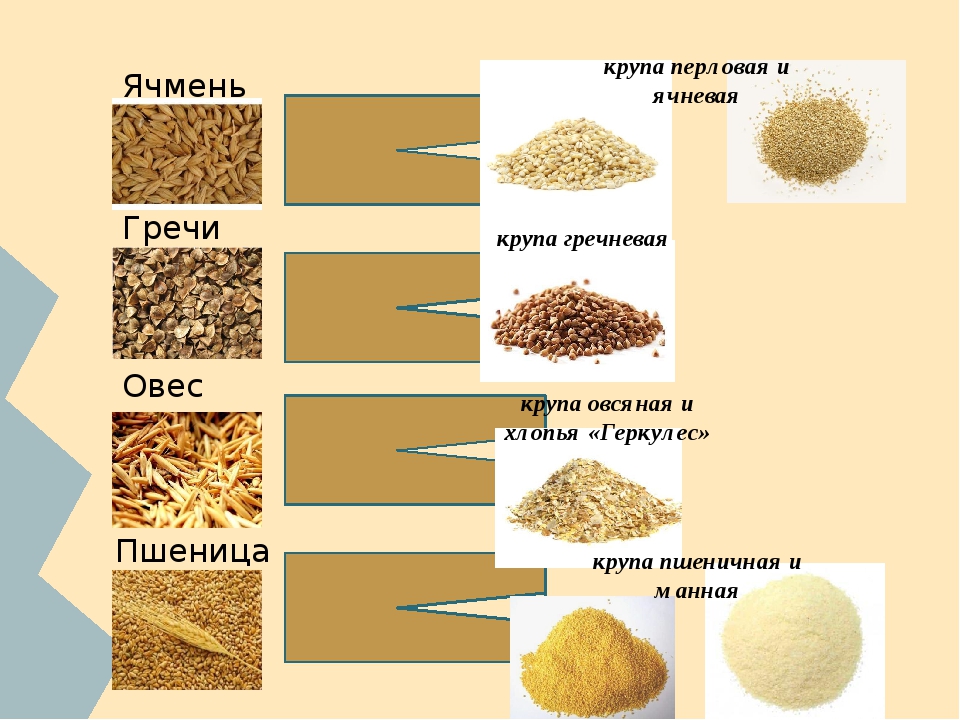 Как варить кашу из гречки и перловки