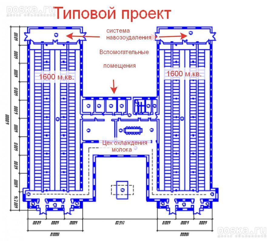 Проект фермы крс на 200 голов