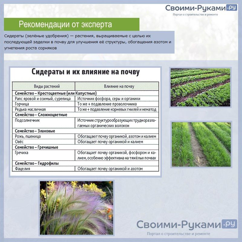 Севооборот это. Севооборот сидератов таблица. Таблица совместимости сидератов и овощных культур. Сидераты схема. Таблица севооборота овощных культур и сидератов.