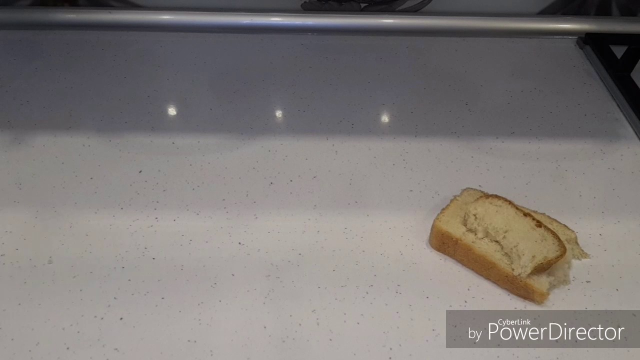 Расплавится ли сыр косичка в духовке