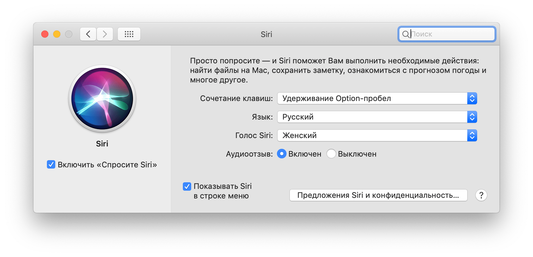 Попроси сири. Сири на маке. Привет сири. Как установить сири. Голосовой помощник на Mac кнопки.