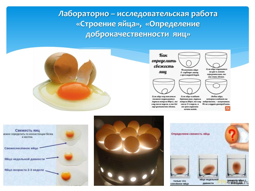 Куриное яйцо тест. Определение доброкачественности яиц таблица технология 5 класс. Определение доброкачественности яиц. Определить свежесть яиц. Методы определения доброкачественности яиц.
