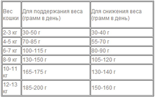 Сколько ест взрослый. Сколько грамм нужно давать коту. Нормы питания для котят до года. Сколько мяса давать кошке в день. Сколько нужно есть коту в день.