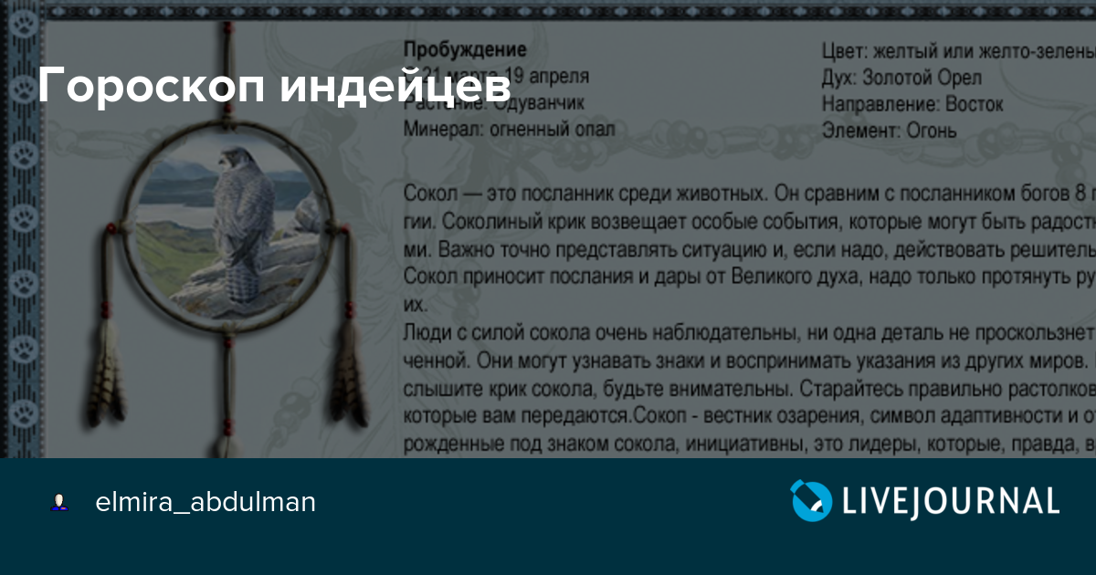 Тотем по знаку зодиака. Индейский гороскоп. Гороскоп индейцев Северной Америки. Гороскоп индейцев тотемное животное.