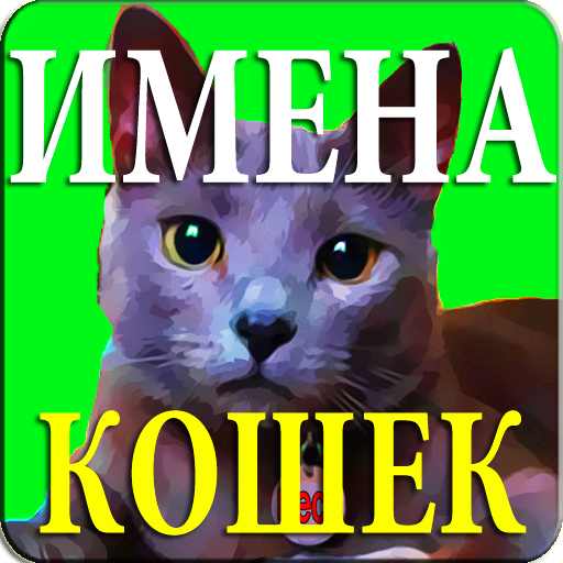 Прикольные имена для кошек. Клички для кошек девочек. Кошачьи имена для кошек. Имя Алиса для кошки. Прикольные имена для котов мальчиков.