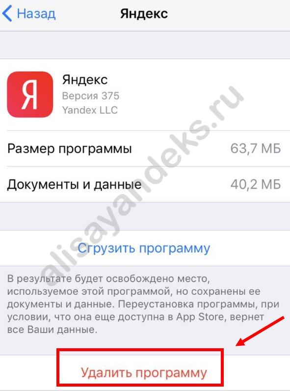 История удалю голосовое. Очистить данные приложения из Яндекса.