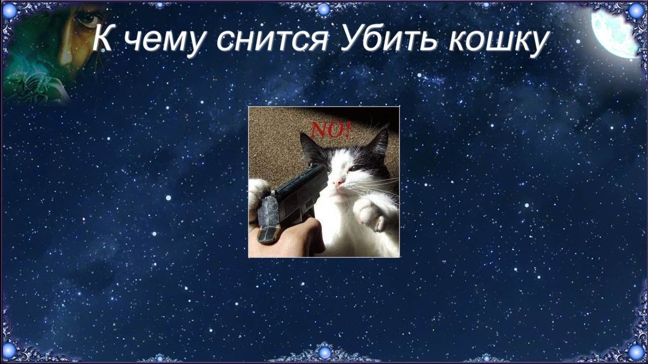 Кошка во сне к чему снится. Кошка во сне к чему снится женщине. Сонник-толкование снов кошка. К чему снится убийство кошки. Толкование снов к чему видеть кошку.