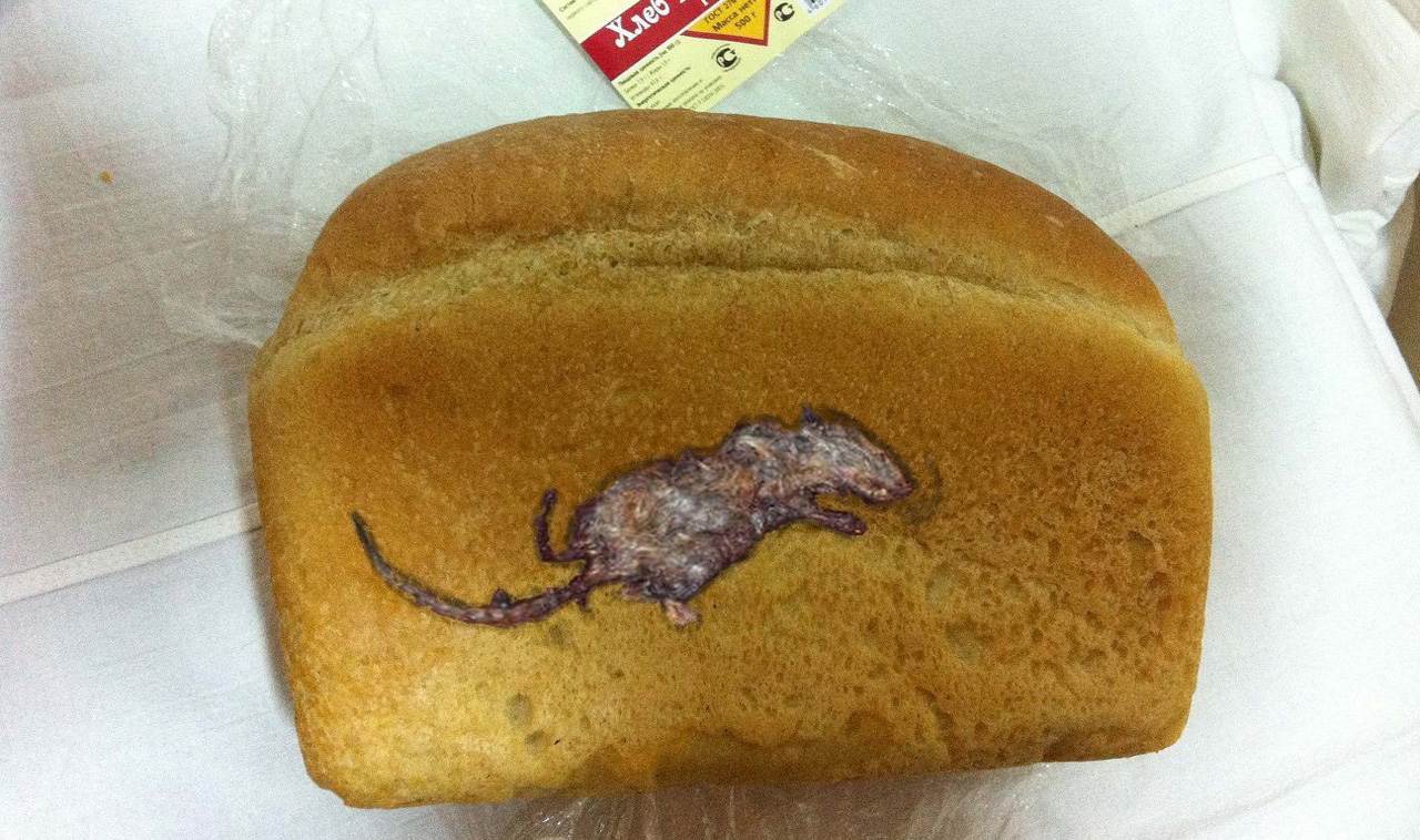 Что внутри хлеба. Вещи в хлебе. Мышиные какашки в хлебе.
